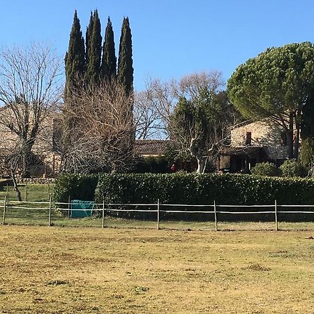 Podere Conte Racani أميليا المظهر الخارجي الصورة