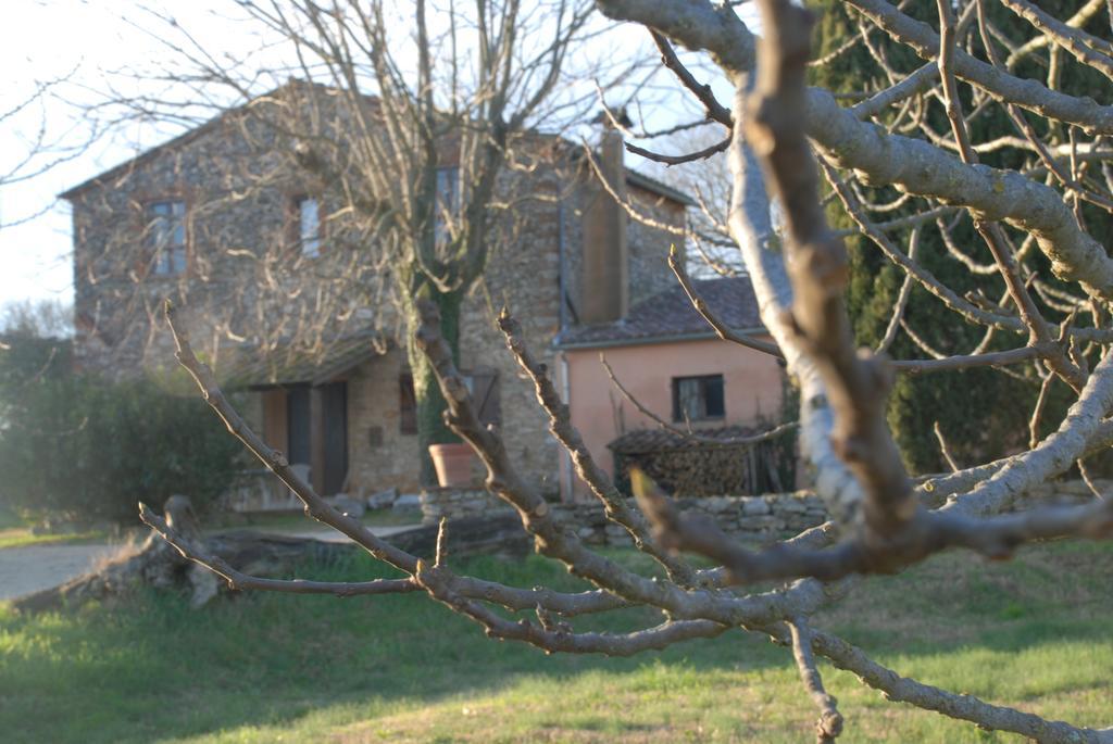 Podere Conte Racani أميليا المظهر الخارجي الصورة
