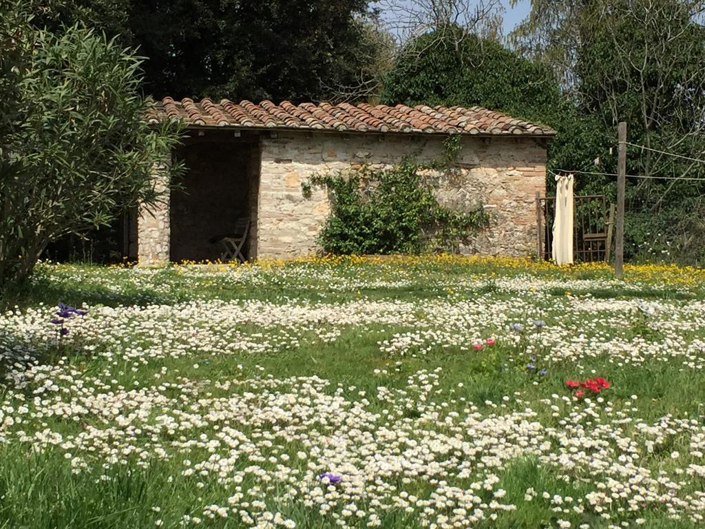 Podere Conte Racani أميليا المظهر الخارجي الصورة