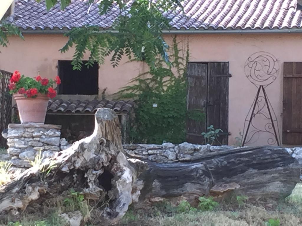 Podere Conte Racani أميليا المظهر الخارجي الصورة
