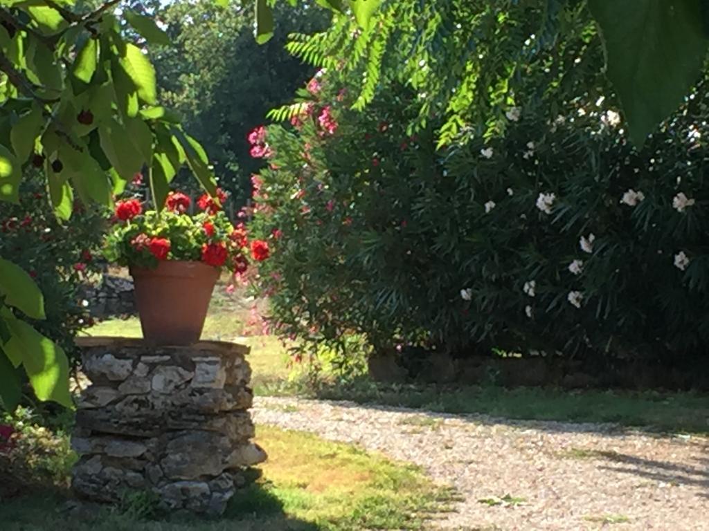 Podere Conte Racani أميليا المظهر الخارجي الصورة