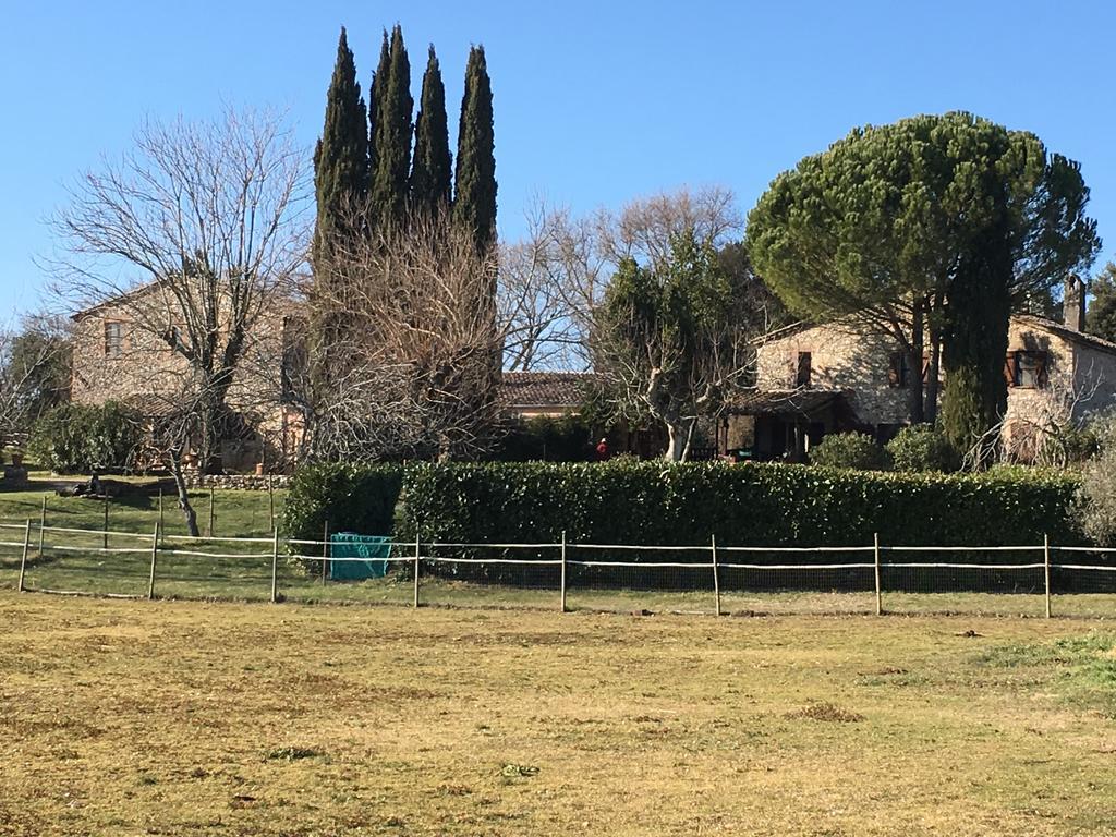 Podere Conte Racani أميليا المظهر الخارجي الصورة