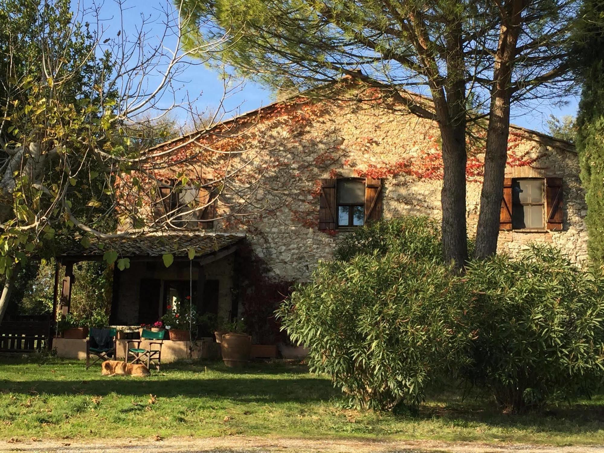 Podere Conte Racani أميليا المظهر الخارجي الصورة