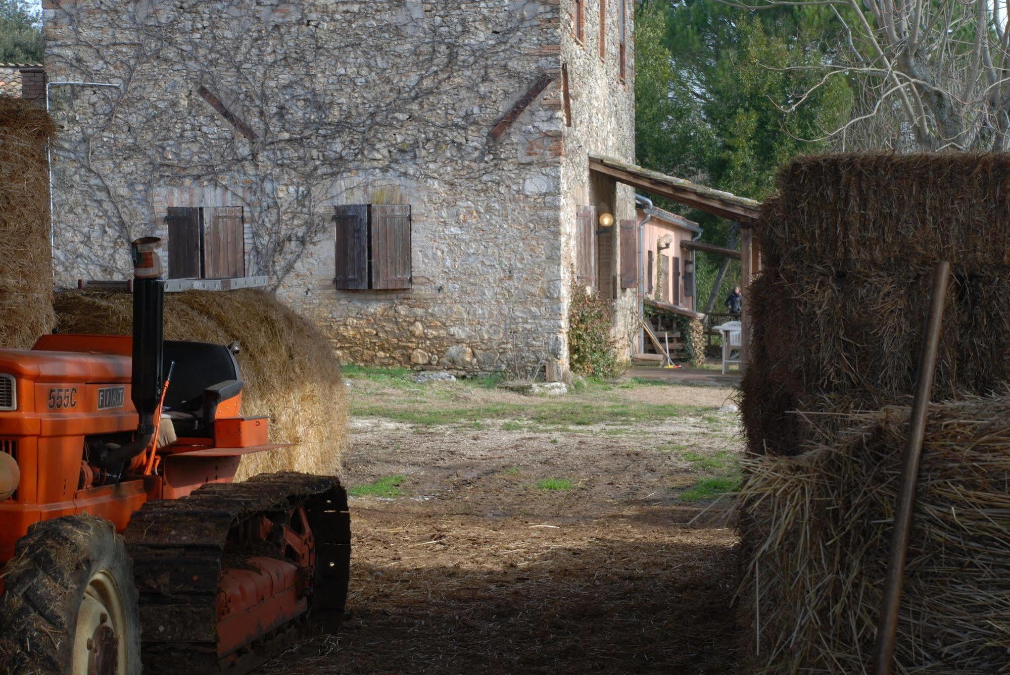 Podere Conte Racani أميليا المظهر الخارجي الصورة
